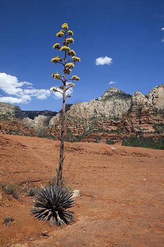 180 Sedona, Broken Arrow Trail, Submarine Rock.jpg